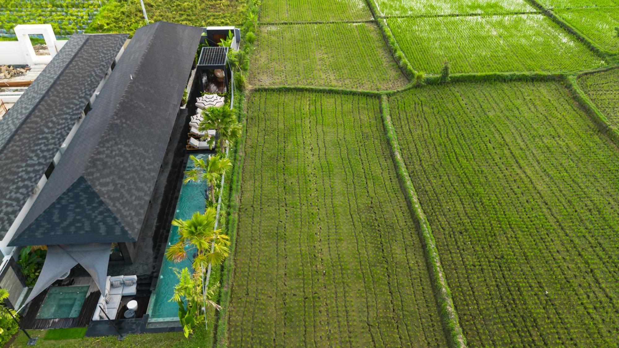 Villa Black Pearl By Balisuperhost อูบุด ภายนอก รูปภาพ